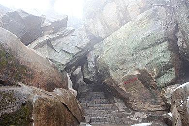 《宝可梦卡牌P》新扩张包1月30日发布 帝牙卢卡参战